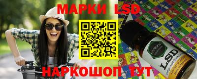 стаф Можга