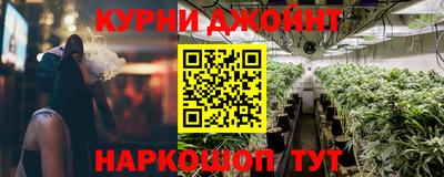 стаф Можга