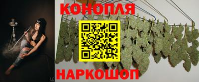 стаф Можга