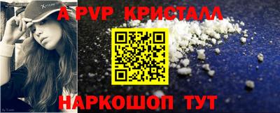 стаф Можга