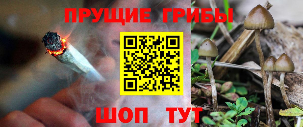 Галлюциногенные грибы Psilocybe  Вход с VPN  Урай 